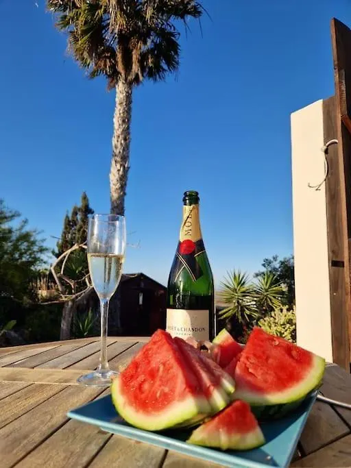 Doce Palmeras, Stunning Villa In Beautiful Gardens La Oliva