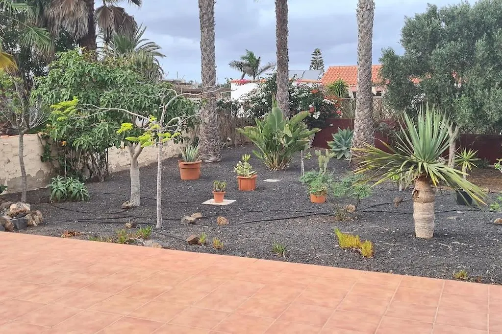 Doce Palmeras, Stunning Villa In Beautiful Gardens La Oliva