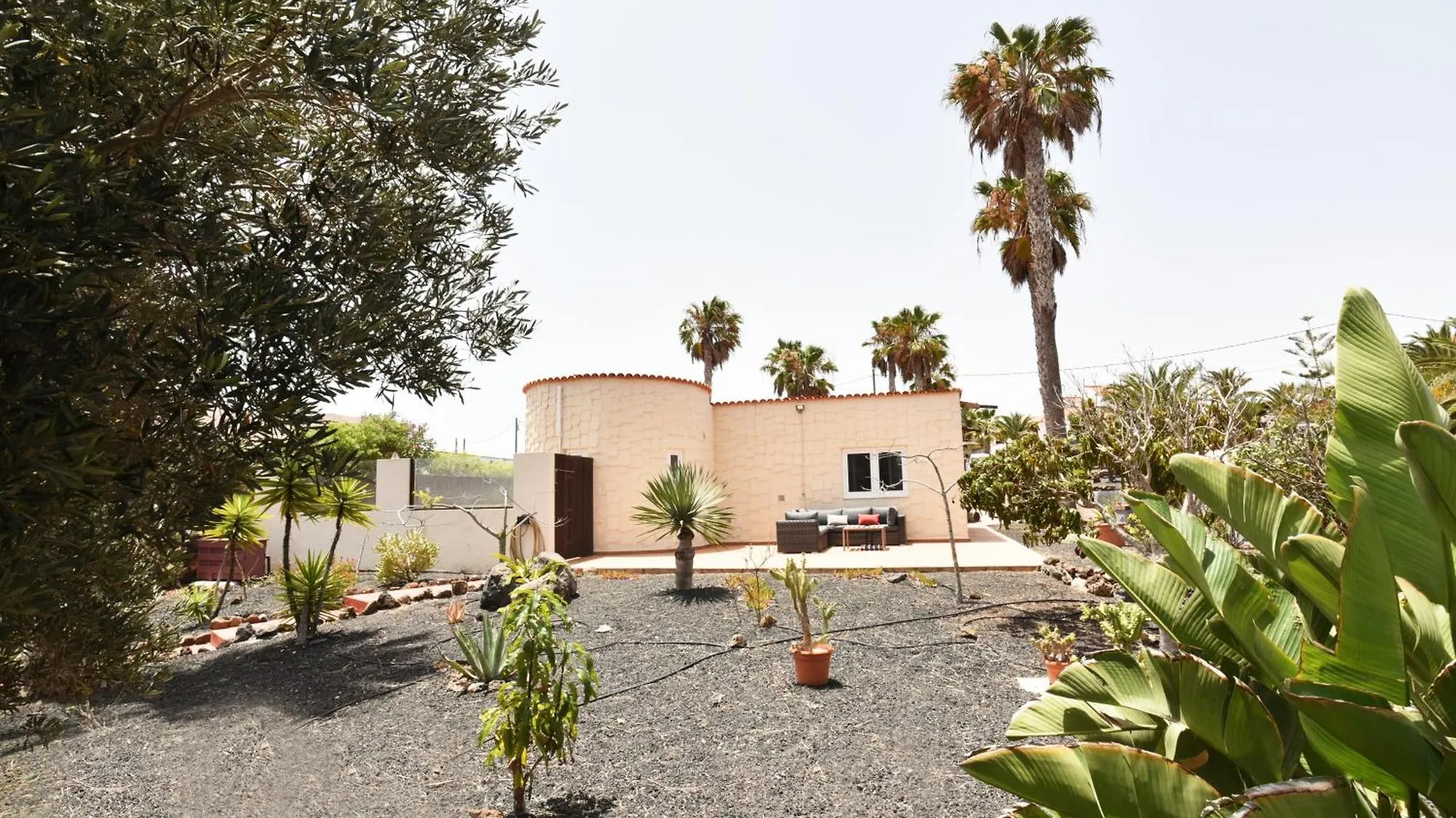 Doce Palmeras, Stunning Villa In Beautiful Gardens La Oliva Spain